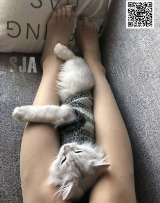 爱妻日记之童心_蓝光免费观看电视剧