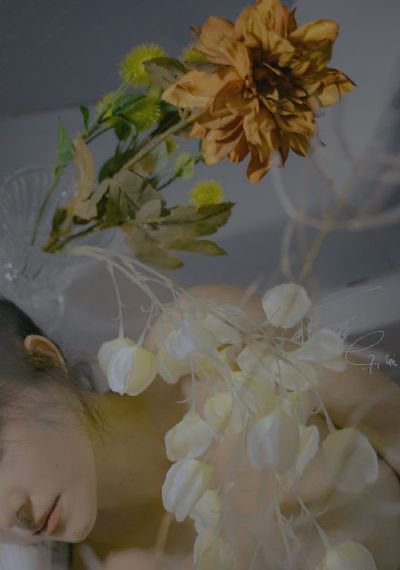肮脏的交易之女人的战争_蓝光高清在线